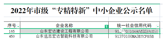 【榜上有名】星空体育最新官网（China）官方网站
建设荣获“2022年市级专精特新”企业